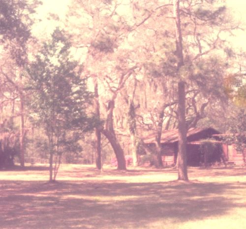 Our log cabin house on 30 acres. Picture from around 1990s. In ground pool on left side.