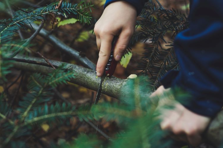 cutting tree with a hunting knife by Markus Spitske for Unsplash