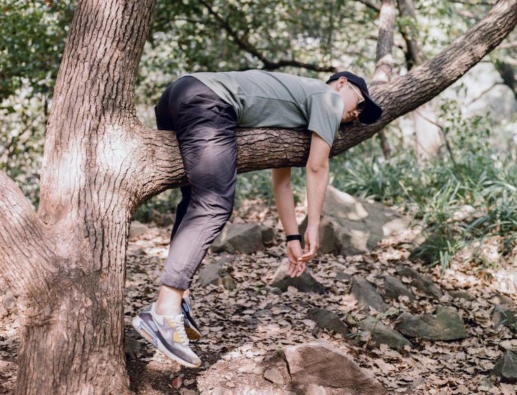 relaxing in a tree