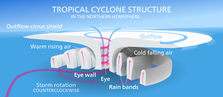 Structure of Tropical cyclone/hurricane. (2023, August 25). In Wikipedia. https://en.wikipedia.org/wiki/Tropical_cyclone. Hurricane Survival Prepper Supply  Kit Checklist
