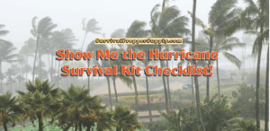 Show Me the Hurricane Survival Kit Checklist!