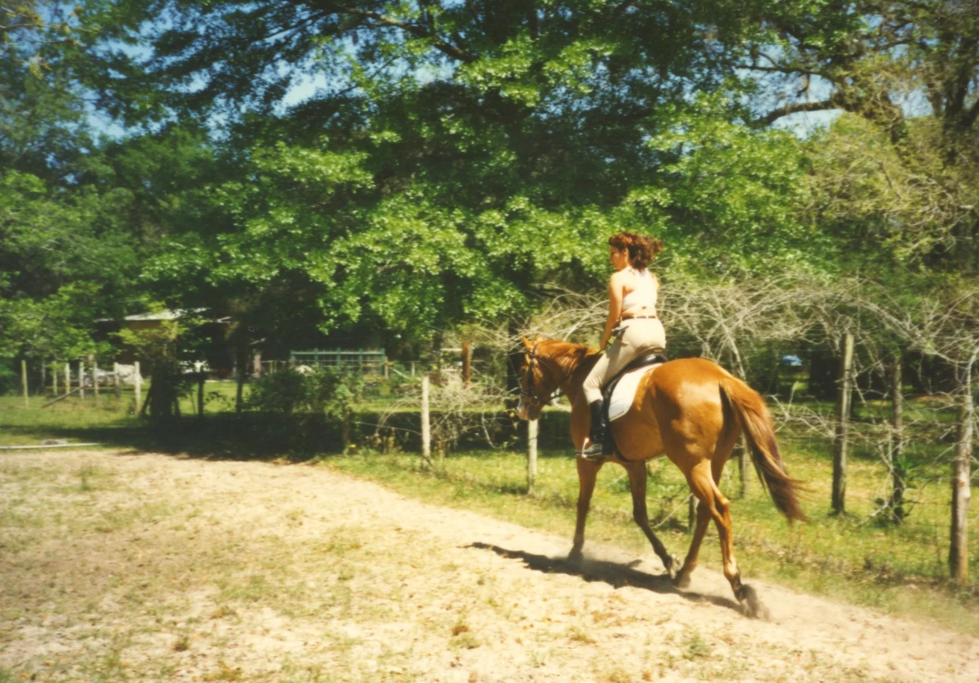Teri on her horse, Sunny. Sadly, I had to sell him. I came 'off' of him almost 20 times in the 2 years I had him!