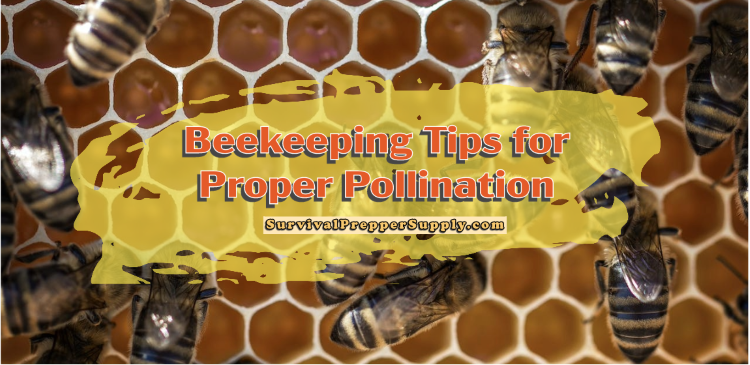 Beekeeping Tips for Proper Pollination SurvivalPrepperSupply.com