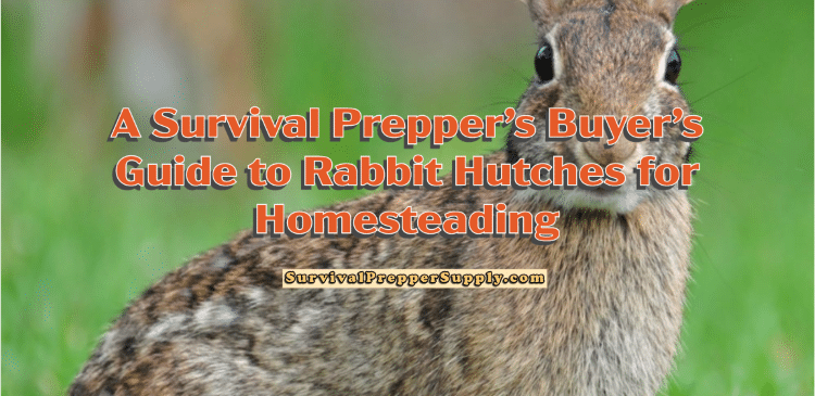 When you buy a premium hutch, you get a bonus that makes a difference to the rabbit and to you as well. Your rabbit will be able to have a great place to eat and sleep