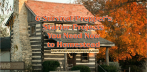 Homesteading starter projects