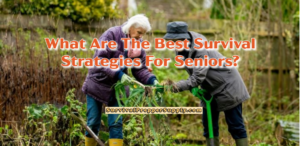 What Are The Best Survival Strategies For Seniors?