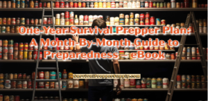 One-Year Survival Prepper Plan: A Month-By-Month Guide to Preparedness – eBook