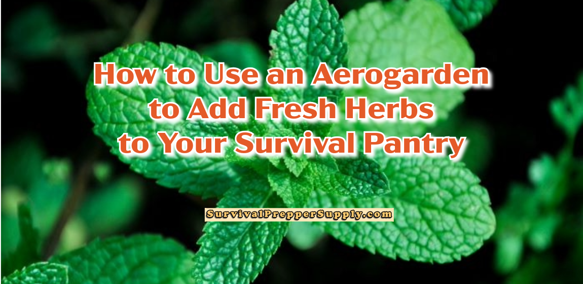 How to Use an Aerogarden to Add Fresh Herbs to Your Survival Pantry Photo by Magdalena Nowa